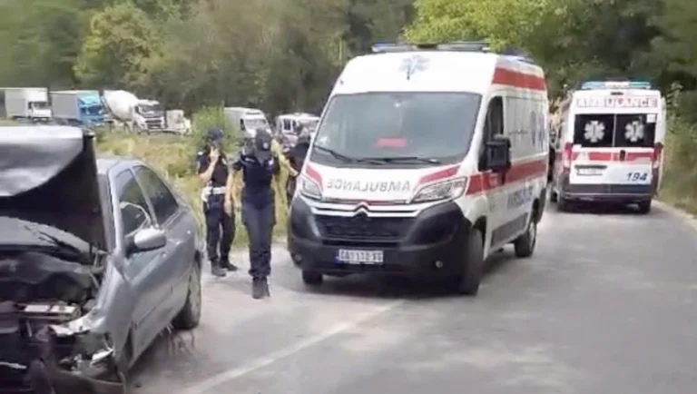 PALA MU DIVLJA SVINJA NA HAUBU I POGINUO Tinejdžer (18) nastradao u bizarnoj nesreći