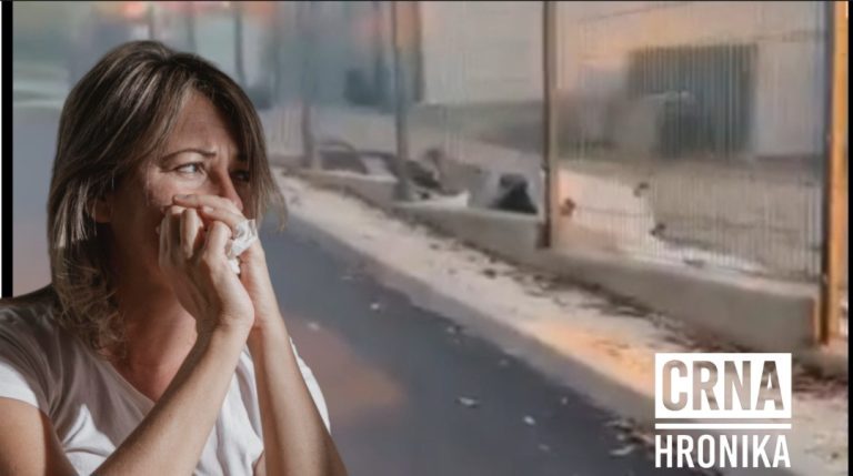 Djevojku (20) napali psi lutalice, zadobila tjelesne povrede