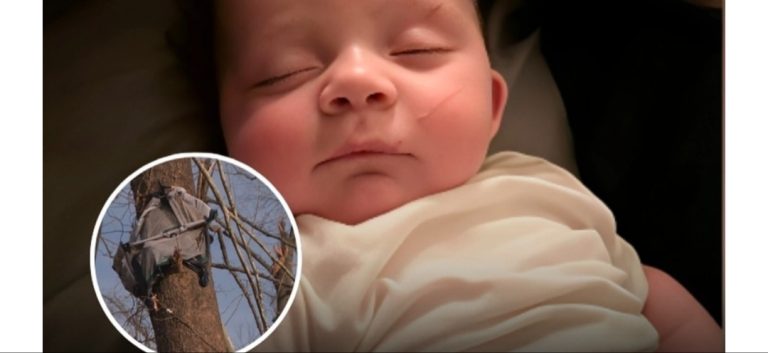 Beba pronađena živa u drvetu nakon tornada: “Kao da ju je Bog položio tamo”
